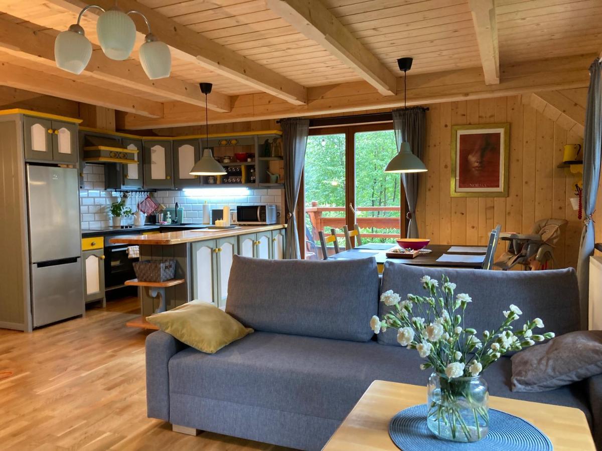 Apartament Mountain Dream Kościelisko Zewnętrze zdjęcie