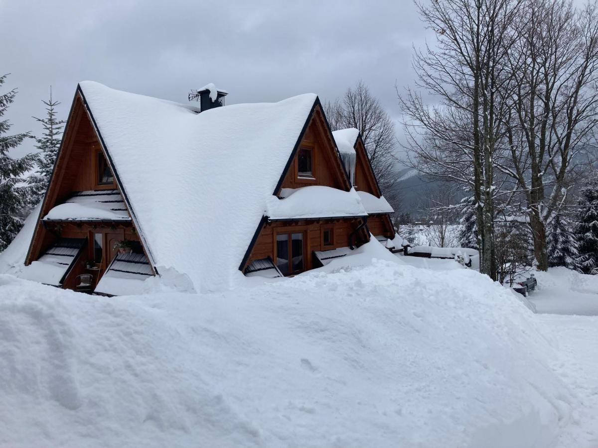 Apartament Mountain Dream Kościelisko Zewnętrze zdjęcie