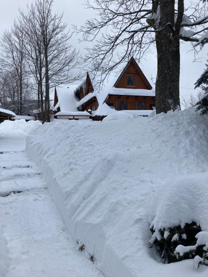 Apartament Mountain Dream Kościelisko Zewnętrze zdjęcie
