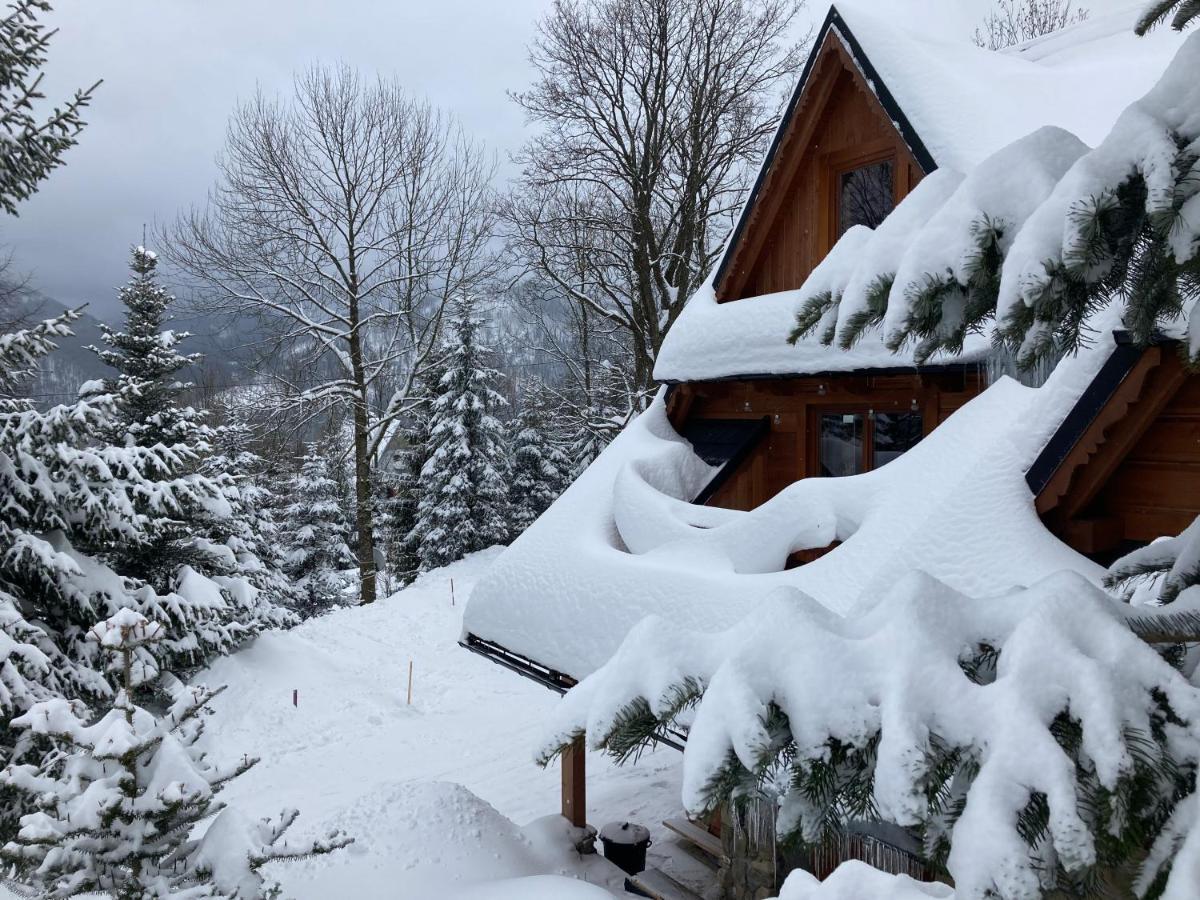 Apartament Mountain Dream Kościelisko Zewnętrze zdjęcie